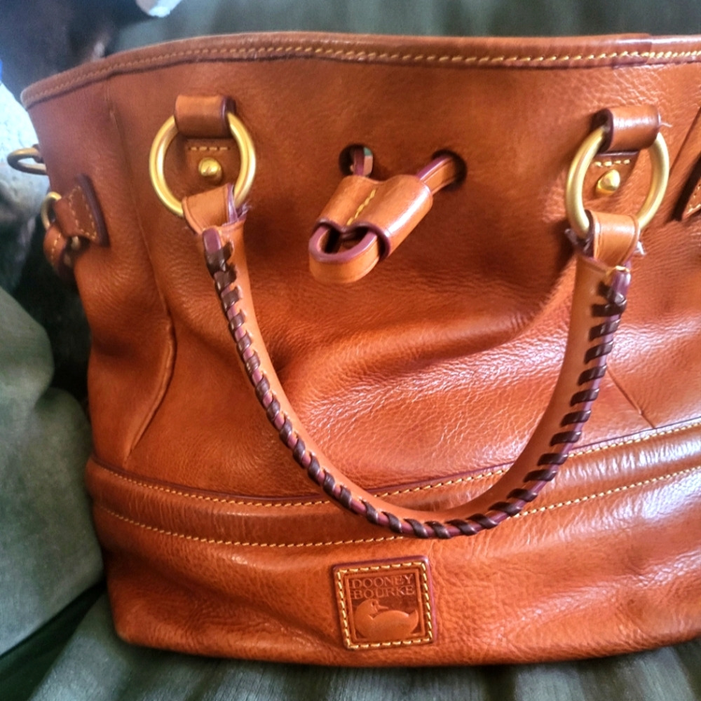 Buckley Bag purse